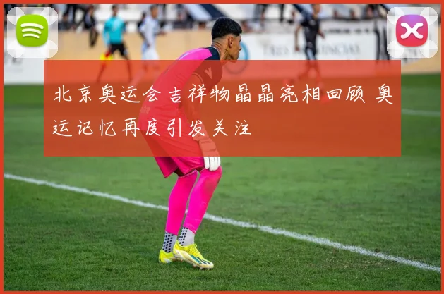 北京奥运会吉祥物晶晶亮相回顾 奥运记忆再度引发关注