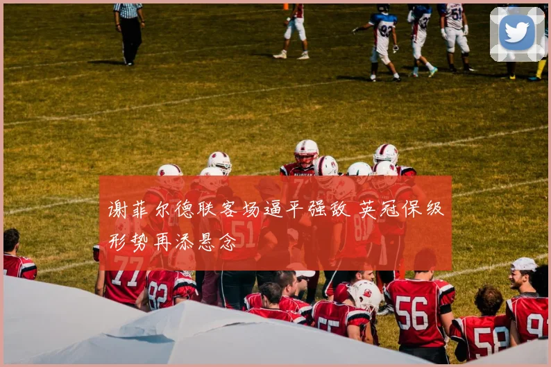 谢菲尔德联客场逼平强敌 英冠保级形势再添悬念