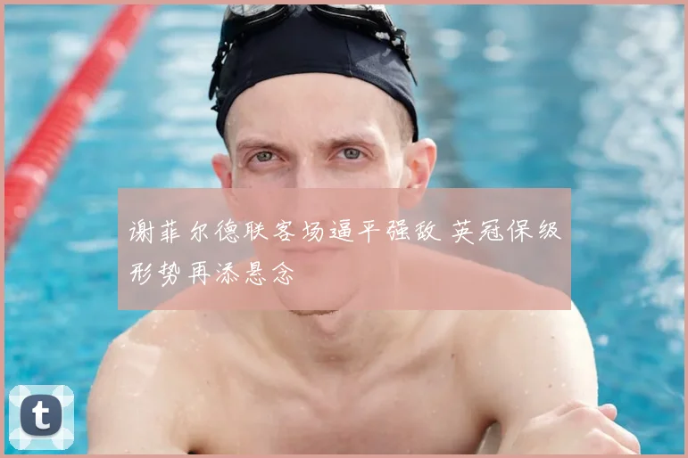 谢菲尔德联客场逼平强敌 英冠保级形势再添悬念