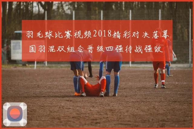 羽毛球比赛视频2018精彩对决落幕 国羽混双组合晋级四强待战强敌