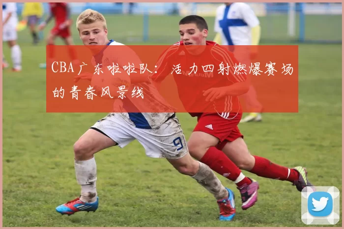 CBA广东啦啦队：活力四射燃爆赛场的青春风景线